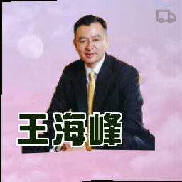 王海峰